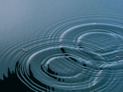 Water ripples creating a concentric pattern on a calm surface.